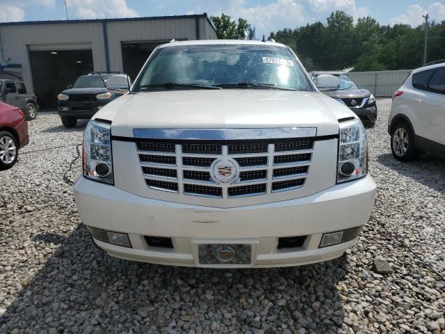 2011 CADILLAC ESCALADE E - 3GYT4MEFXBG160157