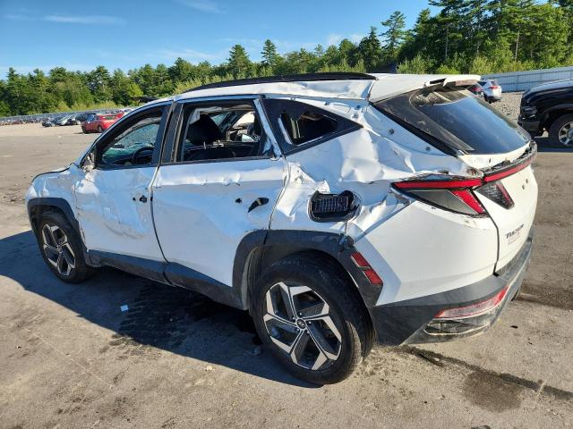 2022 HYUNDAI TUCSON SEL 5NMJCCAE9NH018124
