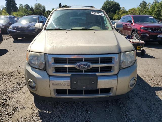 2010 FORD ESCAPE LIM - 1FMCU9E74AKB29937