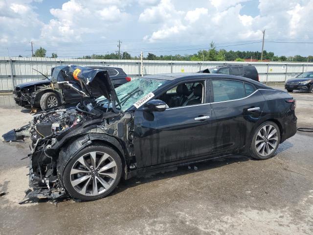 2023 NISSAN MAXIMA PLA 1N4AA6FVXPC507459