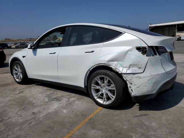 2020 TESLA MODEL Y 5YJYGDEE9LF034969