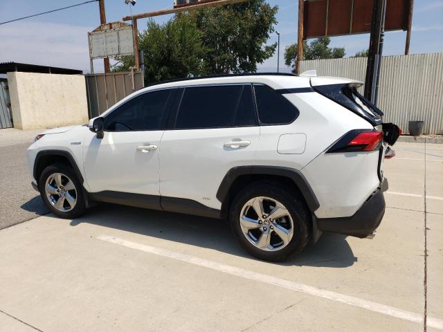 2021 TOYOTA RAV4 XLE PREMIUM JTMB6RFV4MD024847