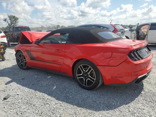 2019 FORD MUSTANG - 1FATP8UH8K5181982