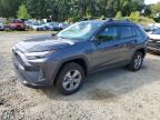 2024 TOYOTA RAV4 LE - 2T3MWRFV2RW238237