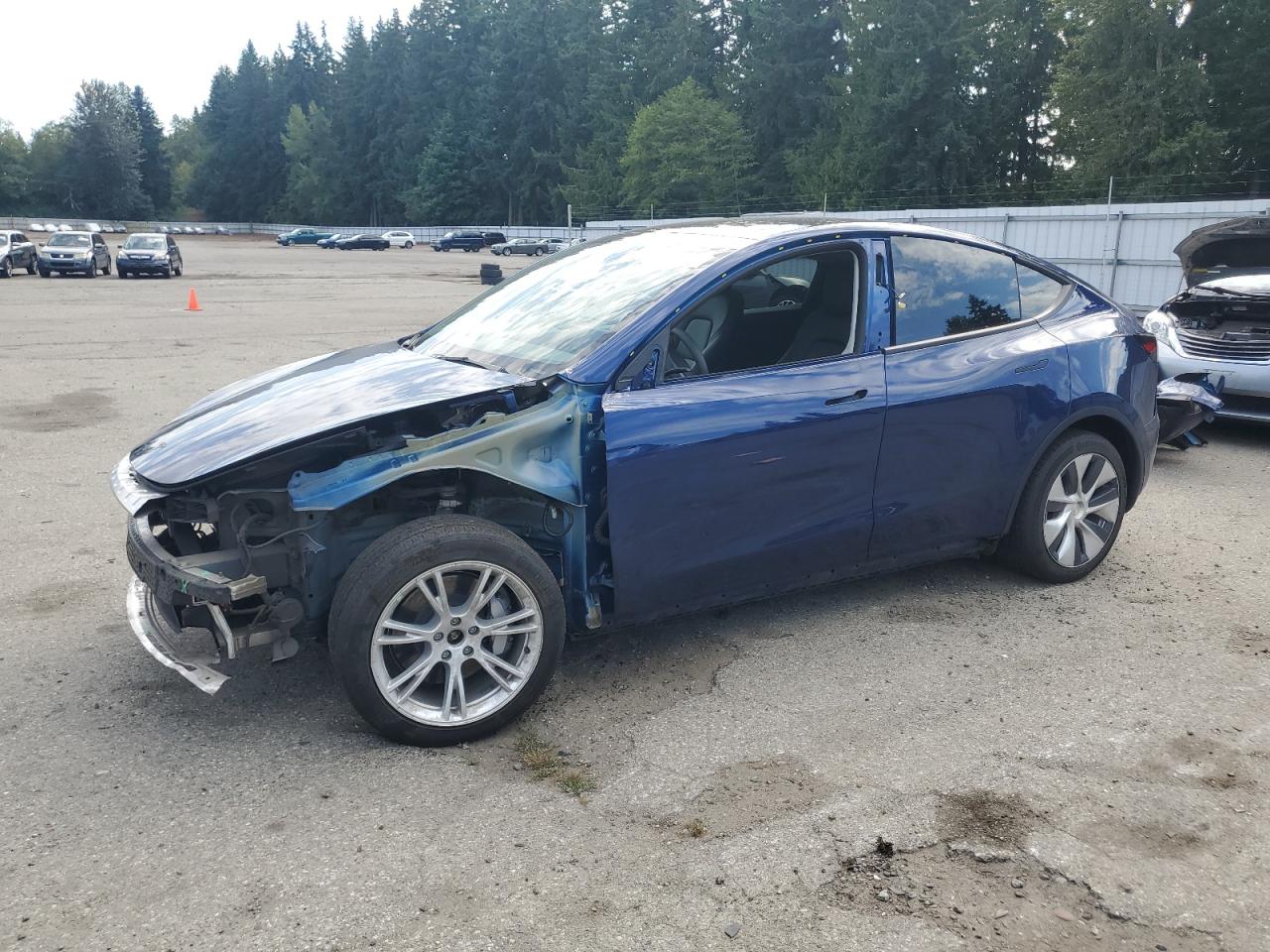 TESLA MODEL Y