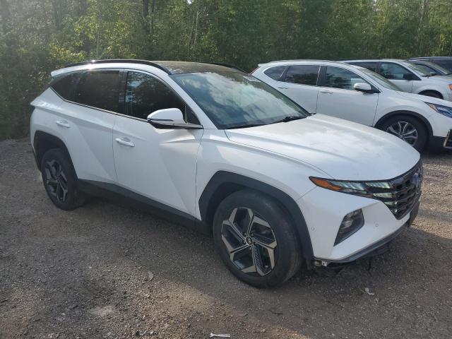 2022 HYUNDAI TUCSON LUX KM8JCCA19NU027889