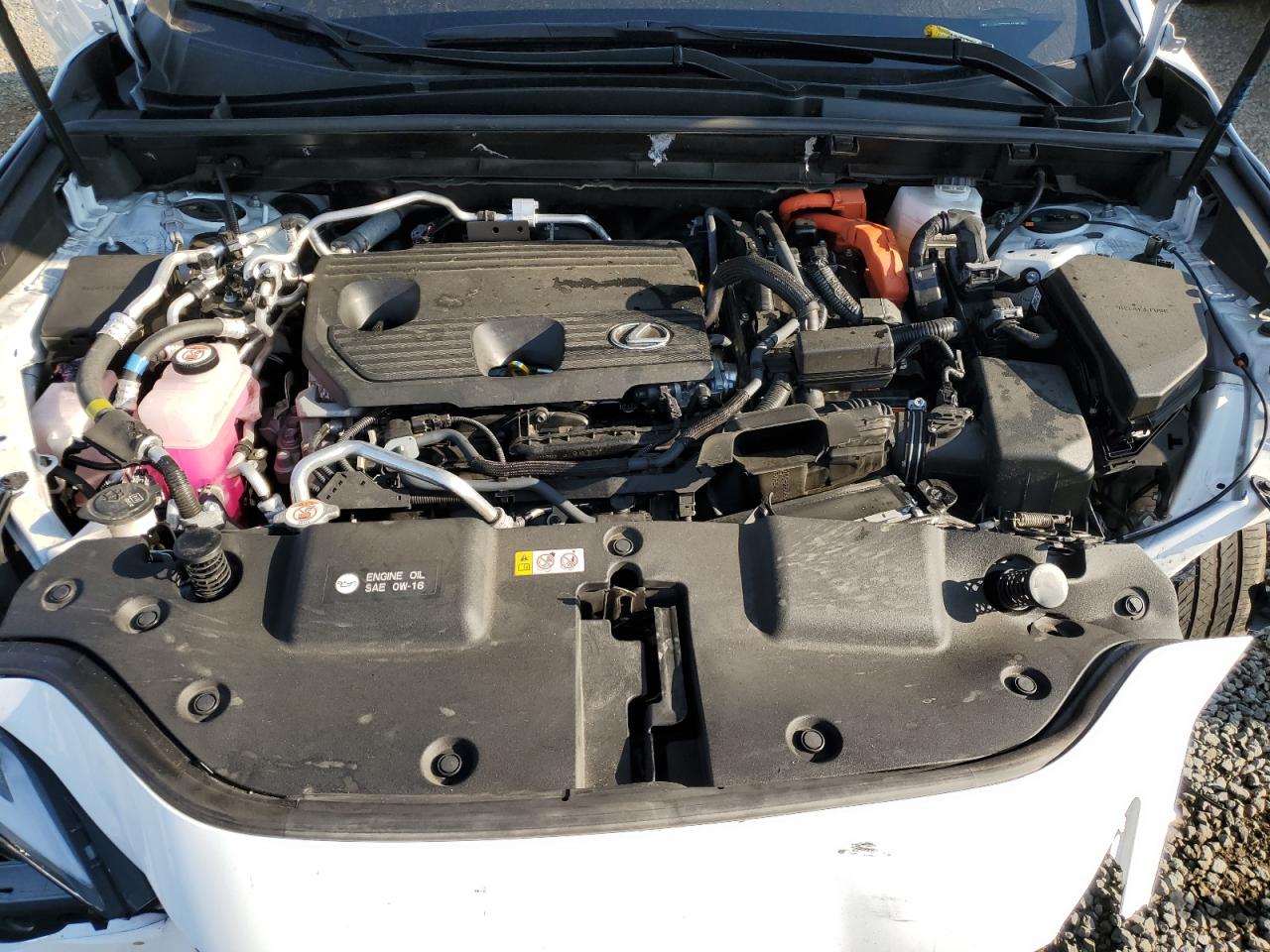 LEXUS NX 450H LUXURY