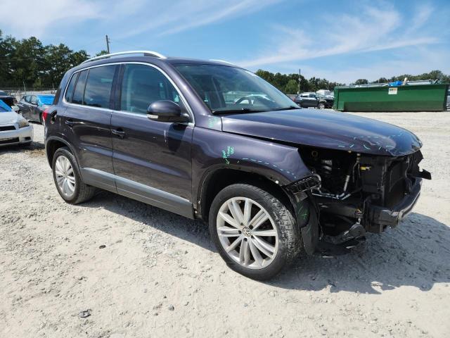 2016 VOLKSWAGEN TIGUAN S WVGAV7AX2GW539569