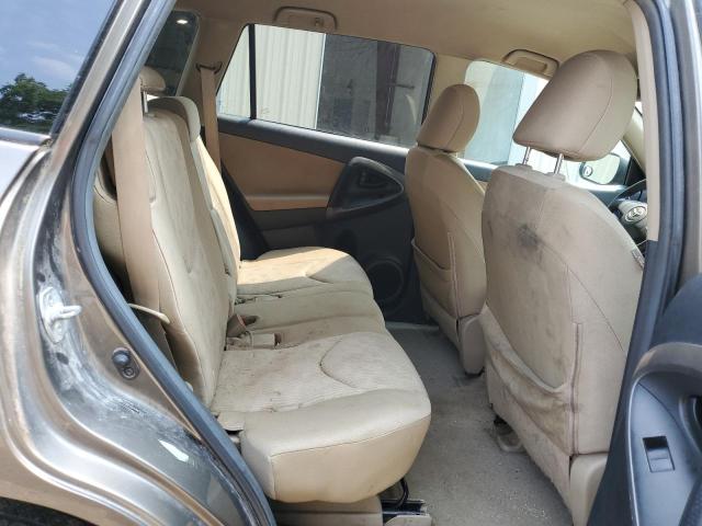 2010 TOYOTA RAV4 - 2T3BF4DV4AW036789