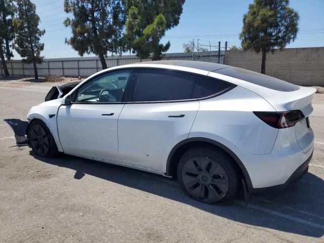 2024 TESLA MODEL Y 7SAYGDEE5RF213540