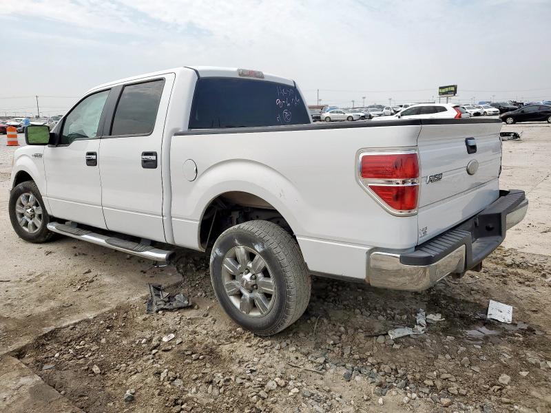2010 FORD F150 SUPER - 1FTEW1C81AFA95291