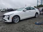 Top Destinations for Shipping Cars from the USA