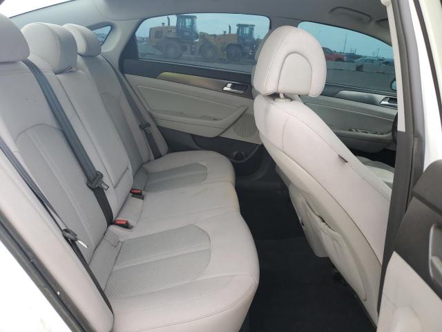 2016 HYUNDAI SONATA SPO 5NPE34AF3GH261580