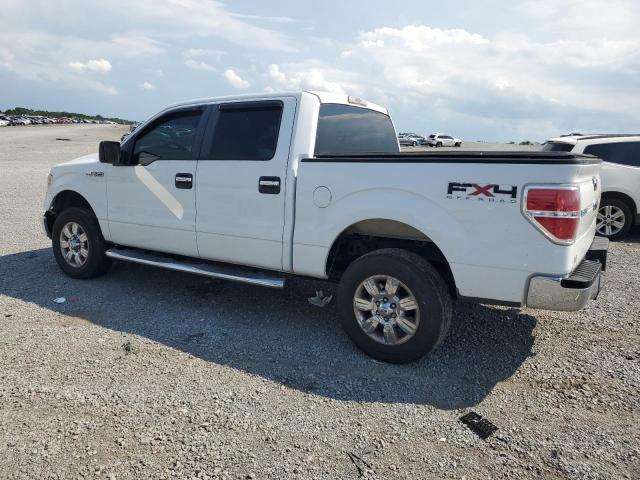 2010 FORD F150 SUPERCREW - 1FTFW1EV0AKE52829