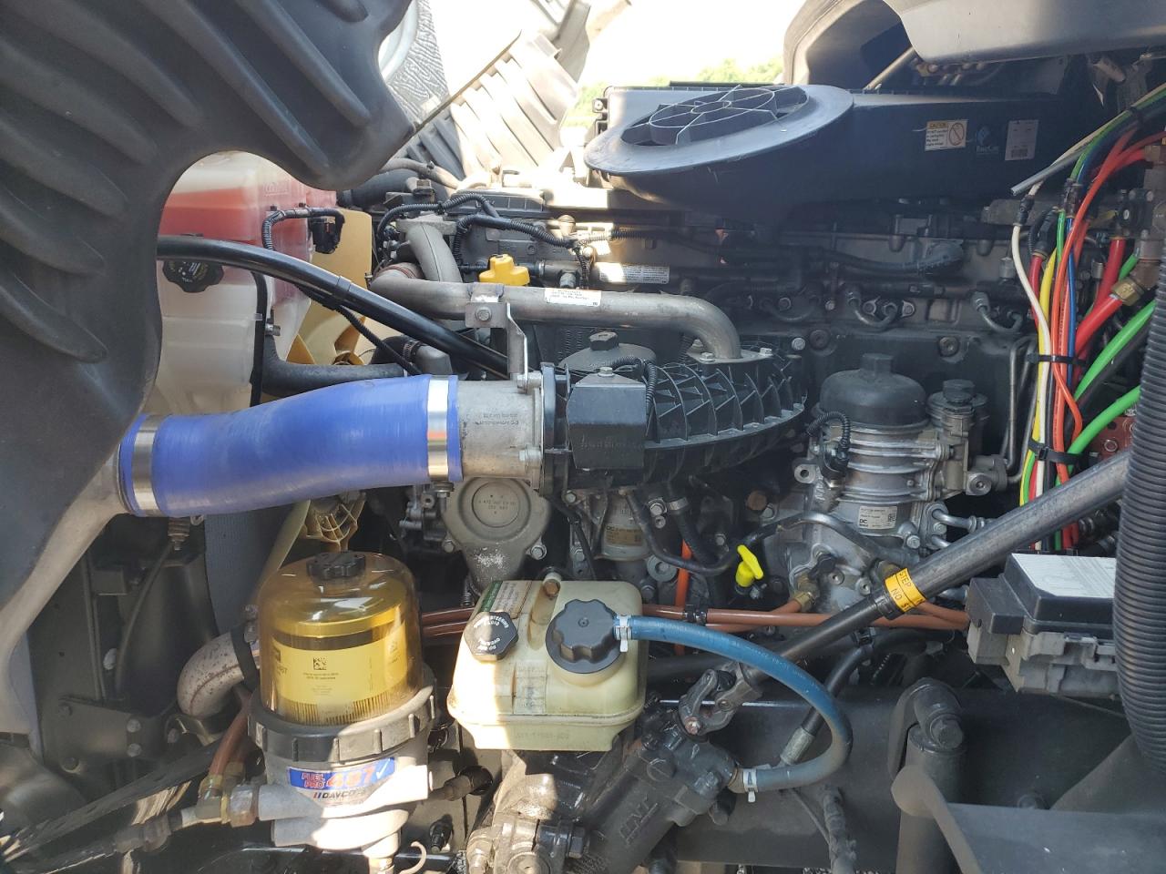 Lot #3284006796 2019 FREIGHTLINER CASCADIA 1