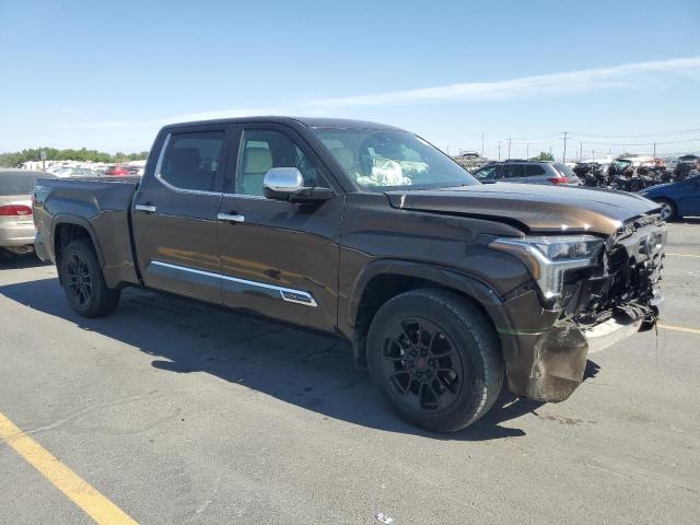 2023 TOYOTA TUNDRA CREWMAX PLATINUM 5TFMA5EC1PX013355