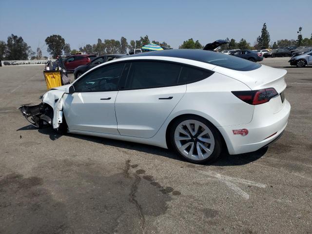 2023 TESLA MODEL 3 5YJ3E1EB2PF619239