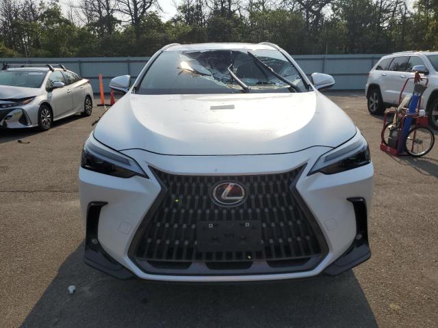 2024 LEXUS NX 250 BAS JTJADCAZ9R5014161