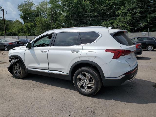 2023 HYUNDAI SANTA FE SEL PREMIUM 5NMS3DAJ0PH526072