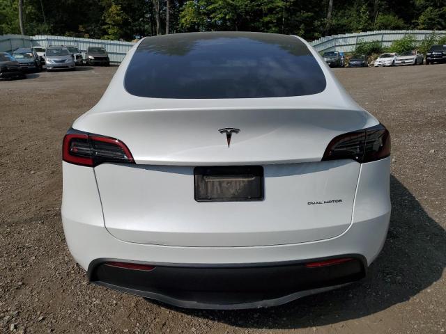 2023 TESLA MODEL Y - 7SAYGDEE1PF764576