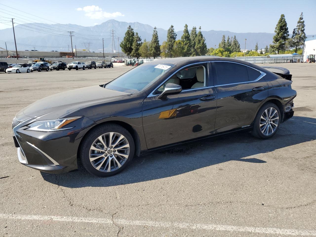 LEXUS ES 300H