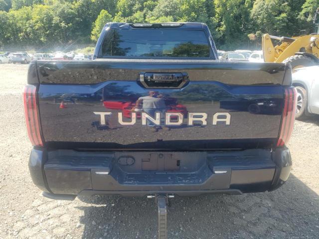 2024 TOYOTA TUNDRA CREWMAX PLATINUM 5TFNC5AB5RX003782