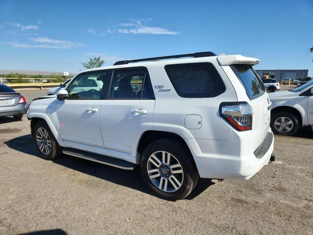 2023 TOYOTA 4RUNNER SE JTESU5JRXP6166052