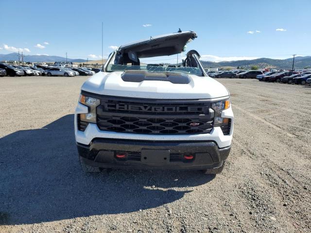 2025 CHEVROLET SILVERADO K1500 TRAIL BOSS CUSTOM 3GCPKCEK1SG167891