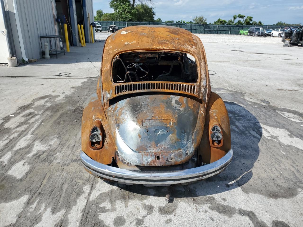 Lot #3309585575 1969 VOLKSWAGEN BEETLE