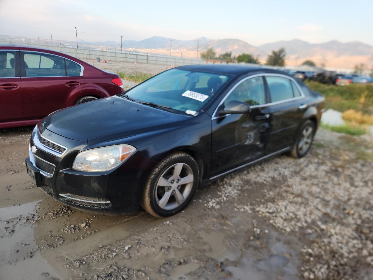CHEVROLET MALIBU 1LT