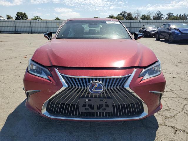 2021 LEXUS ES 300H 58ADA1C14MU011546