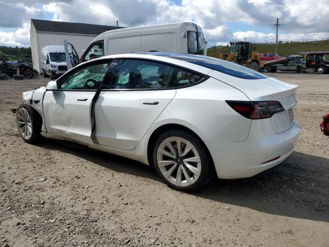2023 TESLA MODEL 3 #3287509994