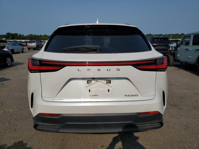 2024 LEXUS NX 250 BAS JTJADCAZ9R5014161
