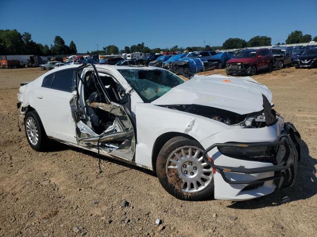 2019 DODGE CHARGER PO 2C3CDXKT9KH622424