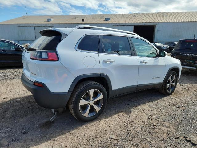 2019 JEEP CHEROKEE L 1C4PJMDX3KD138542