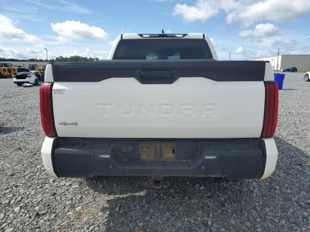 2023 TOYOTA TUNDRA CRE 5TFLA5DB7PX099663