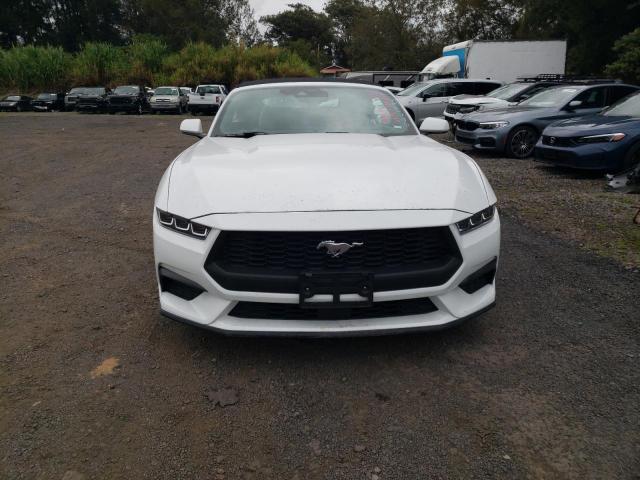 2024 FORD MUSTANG - 1FAGP8UH7R5120165