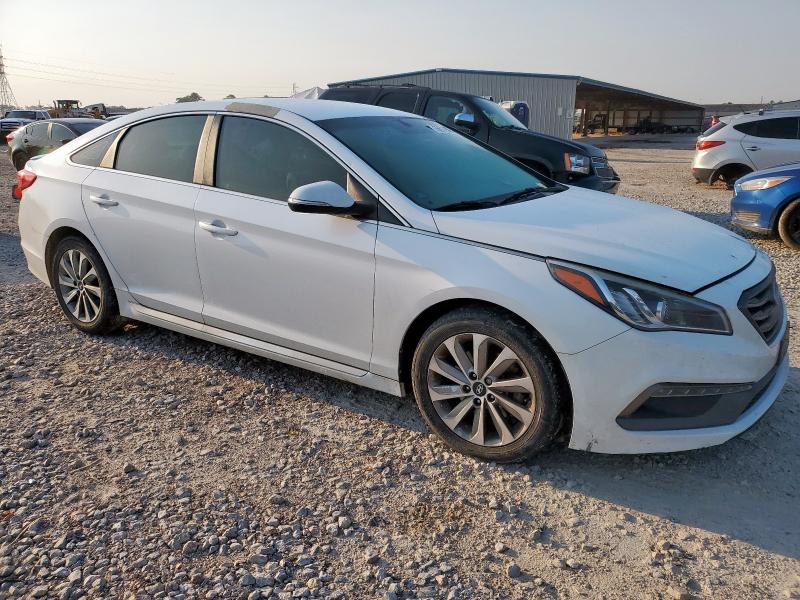 2016 HYUNDAI SONATA SPO - 5NPE34AF8GH331137