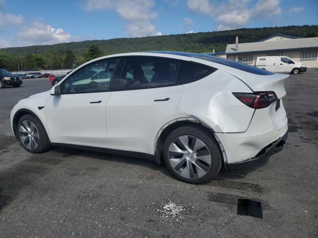 2021 TESLA MODEL Y 5YJYGDEE2MF142609