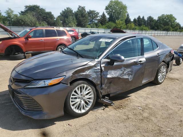 2020 TOYOTA CAMRY XLE - 4T1F31AKXLU523350