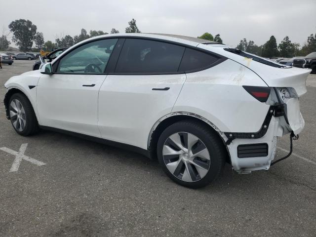 2022 TESLA MODEL Y #3301653676