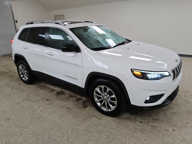 2019 JEEP CHEROKEE L 1C4PJLLB9KD242677