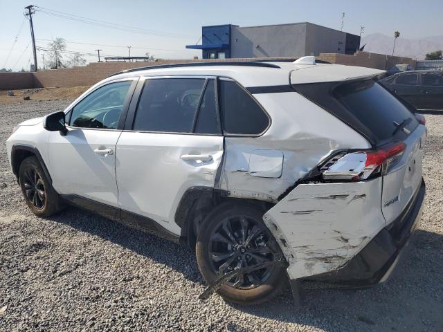 2024 TOYOTA RAV4 SE 4T3T6RFV1RU144894