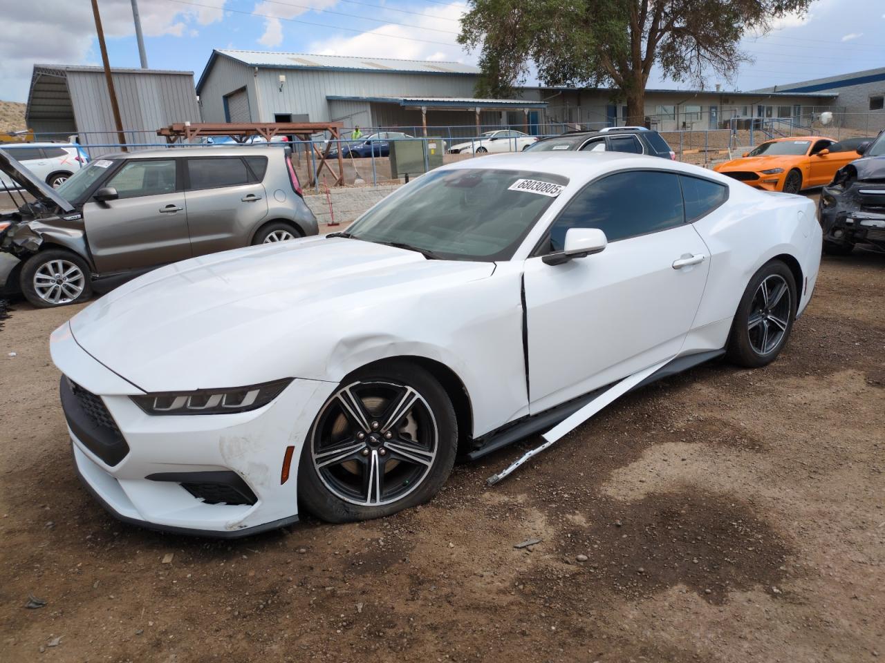 FORD MUSTANG