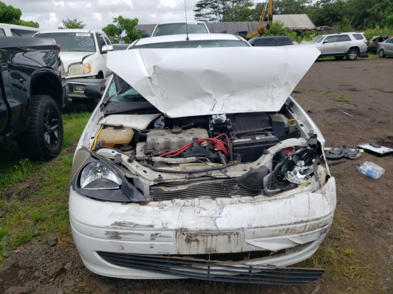 Lot #3259372261 2004 FORD FOCUS LX