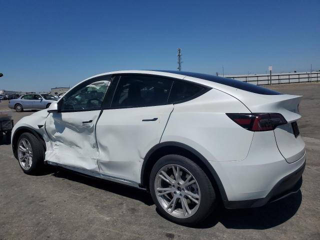 2023 TESLA MODEL Y #3305285428