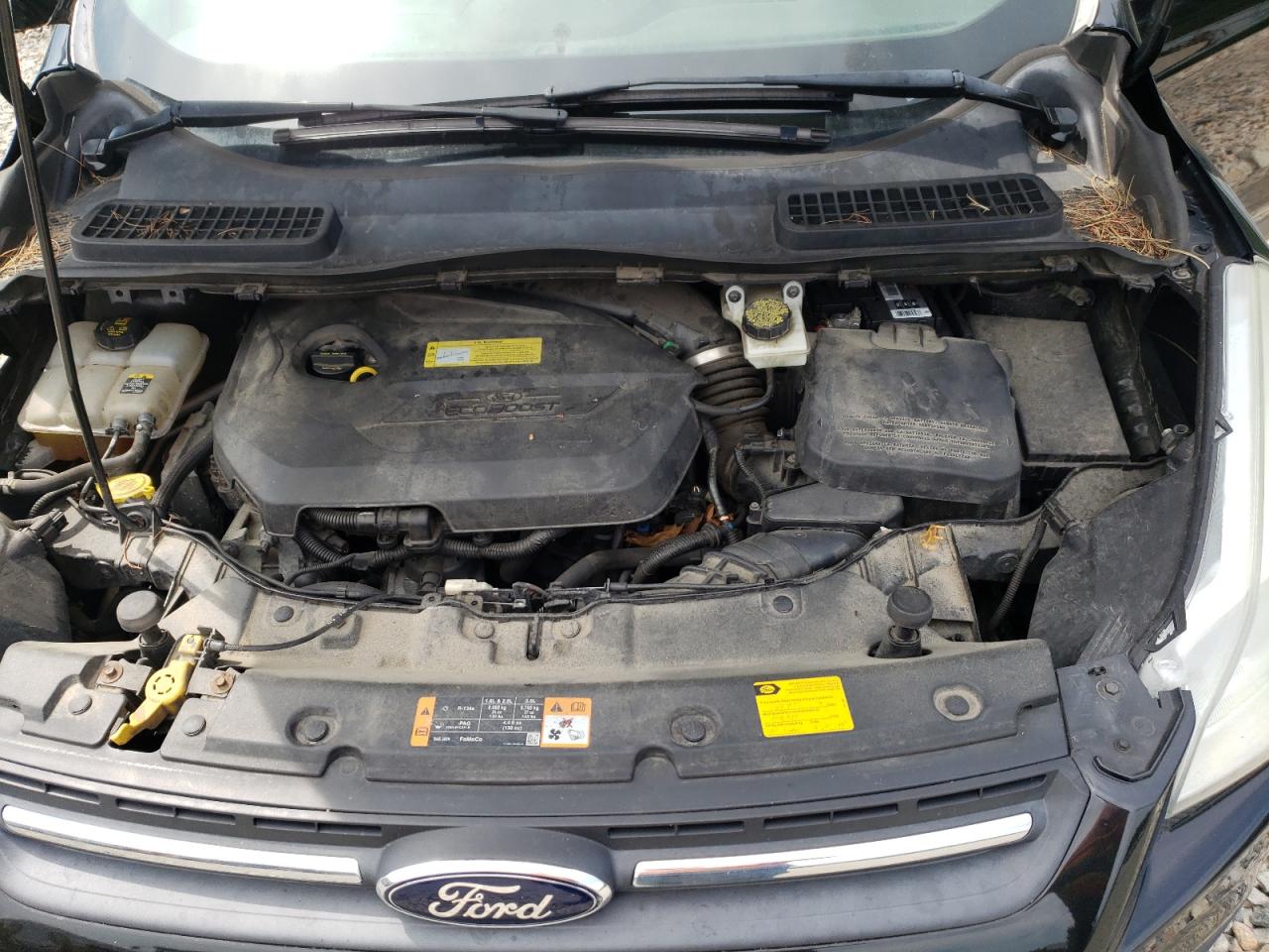 FORD ESCAPE SE