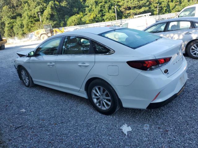 2019 HYUNDAI SONATA SE - 5NPE24AF2KH805806