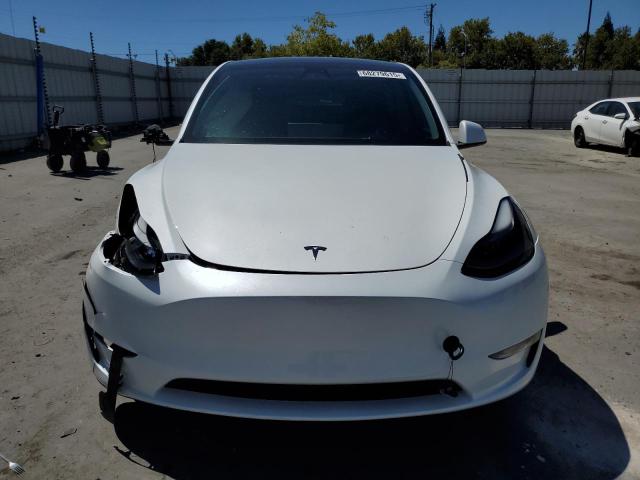 2023 TESLA MODEL Y 7SAYGDEF4PF779873