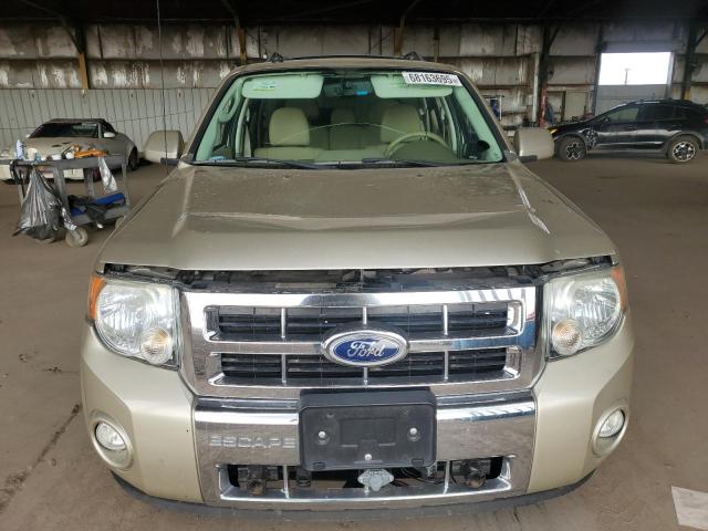 2010 FORD ESCAPE LIM - 1FMCU9EG3AKC91266
